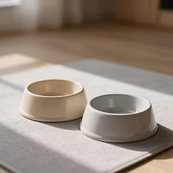 Two empty pet bowls on a mat